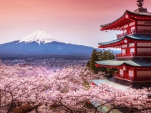 Le Japon, terre de contrastes